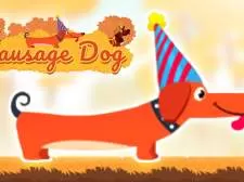 Sausage Dog